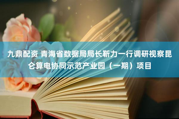 九鼎配资 青海省数据局局长靳力一行调研视察昆仑算电协同示范产业园（一期）项目