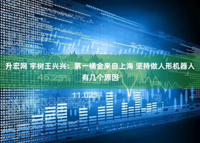 升宏网 宇树王兴兴：第一桶金来自上海 坚持做人形机器人有几个原因