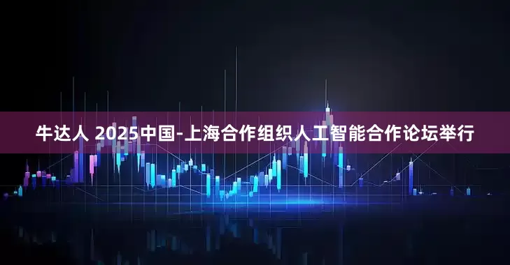 牛达人 2025中国-上海合作组织人工智能合作论坛举行