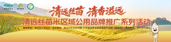 恒力配资 清远丝苗米品牌培训班开课！大咖教你用小红书、短视频打开市场