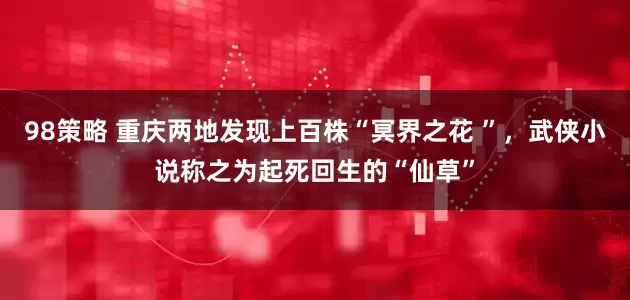 98策略 重庆两地发现上百株“冥界之花 ”，武侠小说称之为起死回生的“仙草”